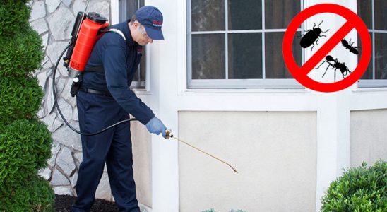 Kemaliye Hamam Böceği İlaçlama böcek ilaçlama ve haşere kontrolü — ilaclama-tr.com